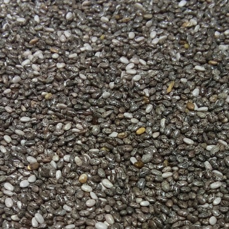 Semillas de Chia - Biologicas