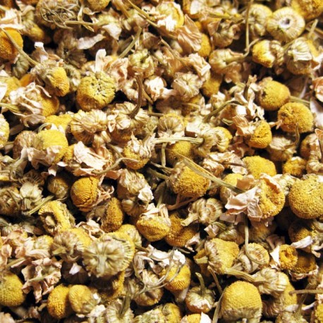 Manzanilla