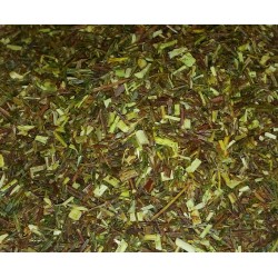 Rooibos Puro Verde ( Biologico