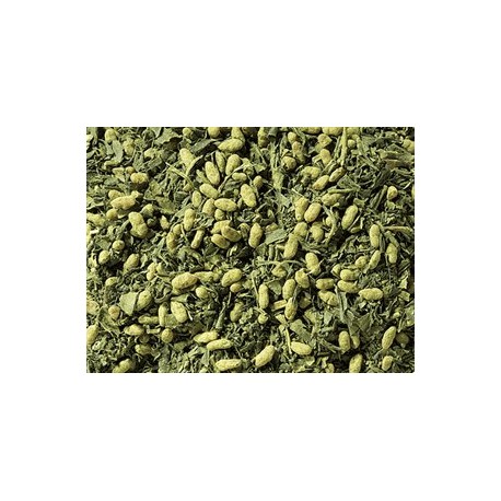 Té Verde Genmaicha Matcha ( Biológico )