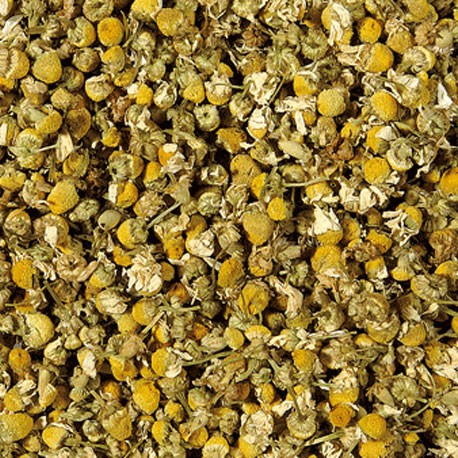 Manzanilla Flor