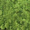 Matcha Premium Biológico