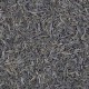 Té Verde Chun Mee  Bio