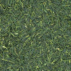 Té Verde Sencha Fukujyu Biologico
