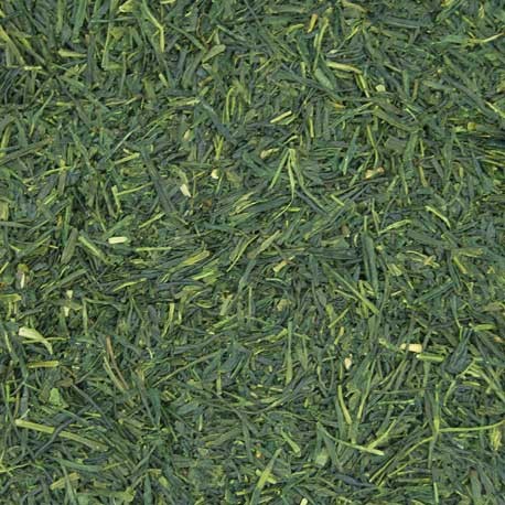 Té Verde Sencha Fukujyu Biologico